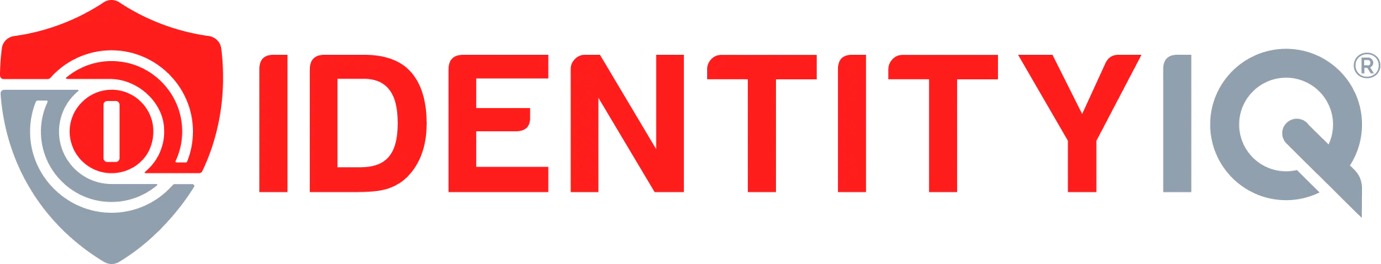 IdentityIQ logo