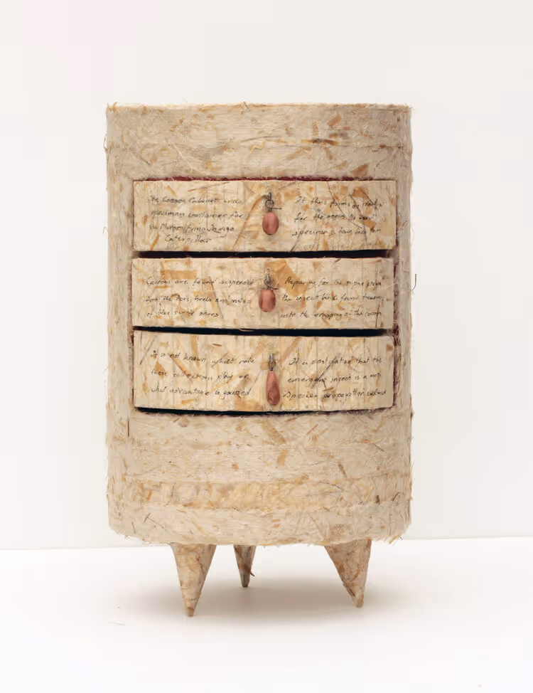 Liz+Powell+Cocoon+Cabinet.jpg