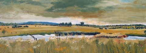 Arding+Landscapes.jpg