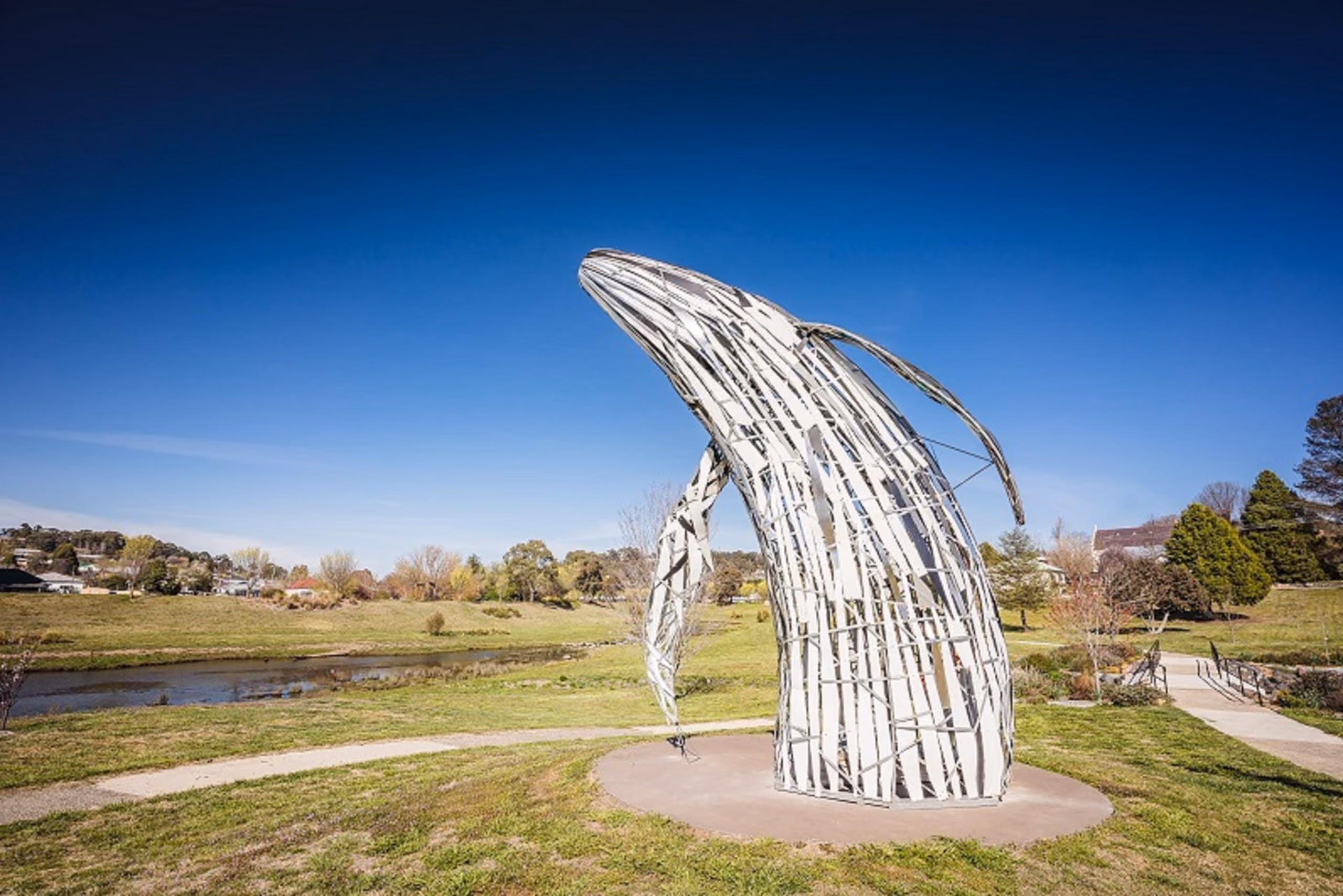 42_The-Whale_Alan-Hubble_Photo-David-Waugh_WildWalcha-341-scaled.jpg