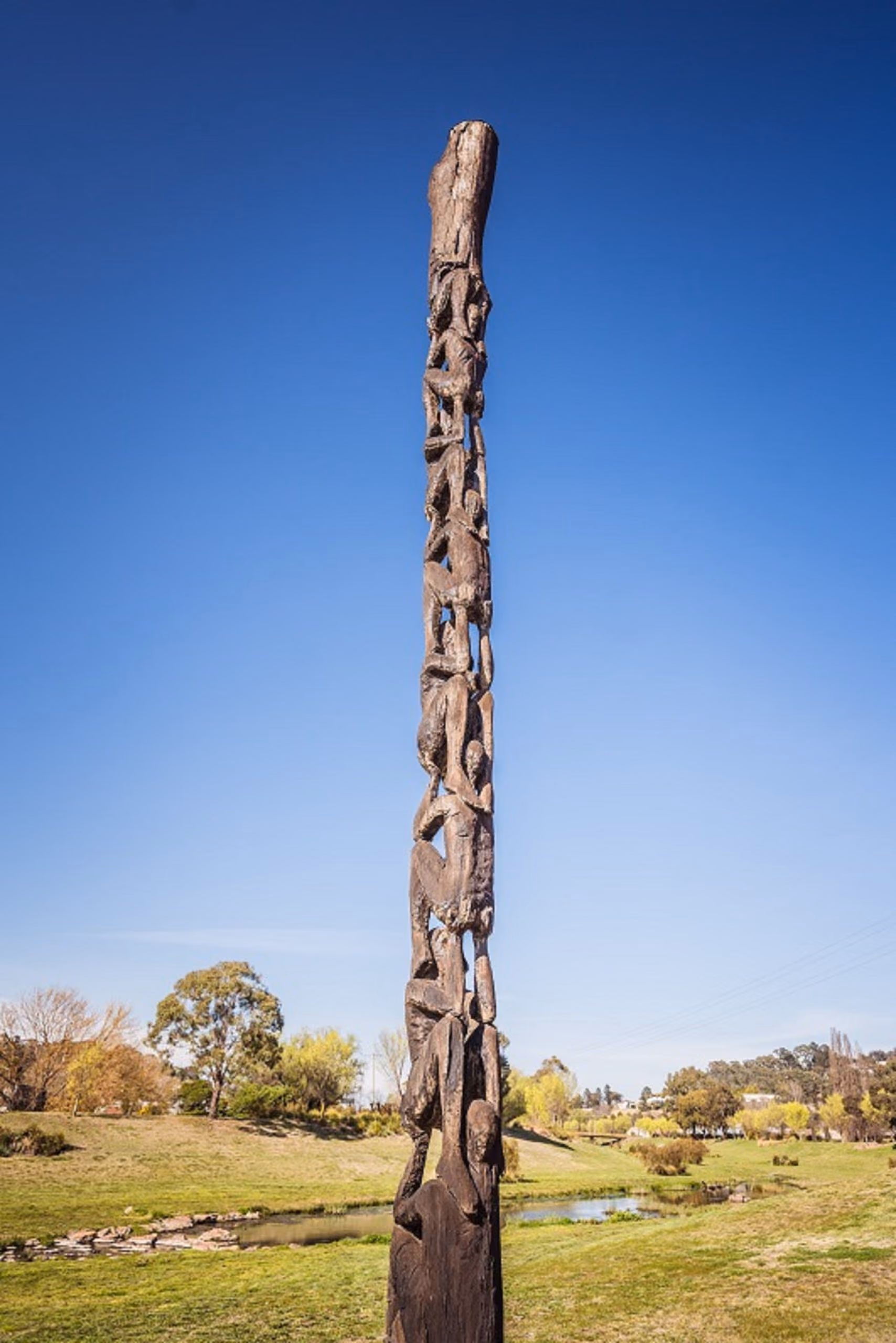 12_Generation-Stick_Stephen-King_Photo-David-Waugh_WildWalcha-340-scaled.jpg