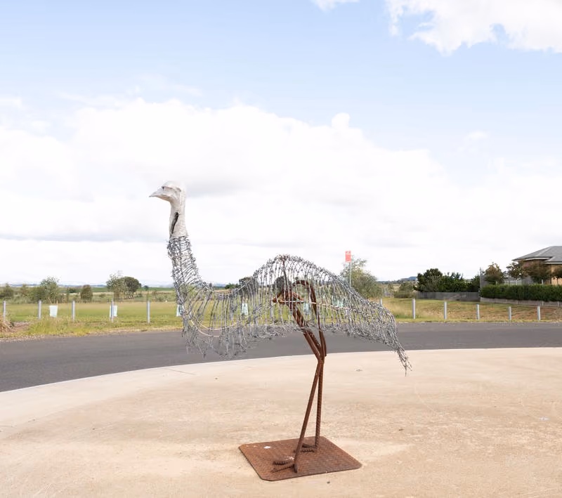 Barbed Wire Emus