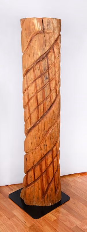 Brown Snake