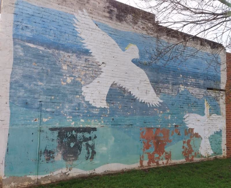 White cockatoo mural.jpg