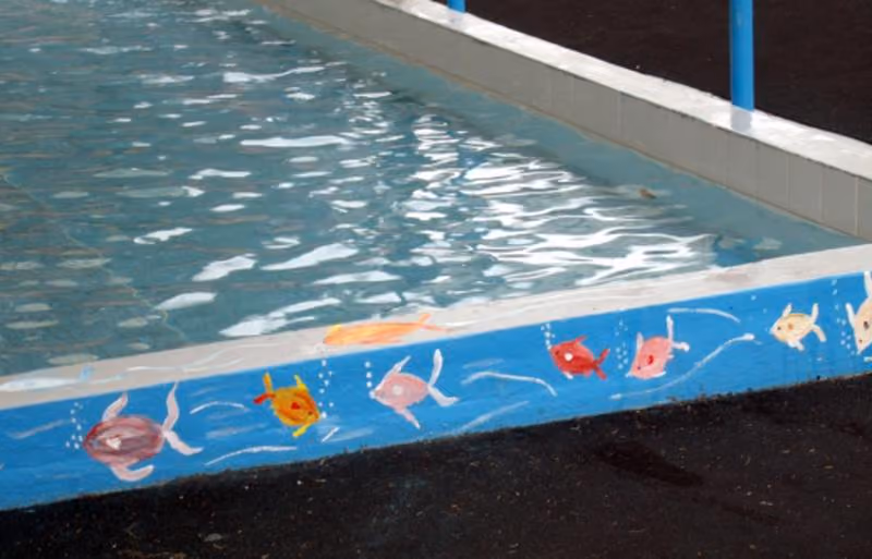 Nundle Swimming Pool Murals