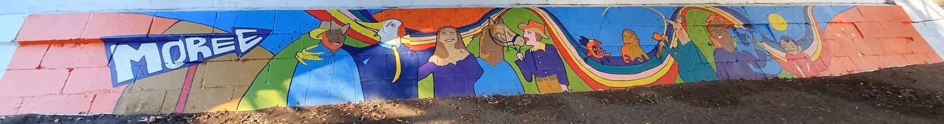 Dr Geoffrey Hunter Bridge mural
