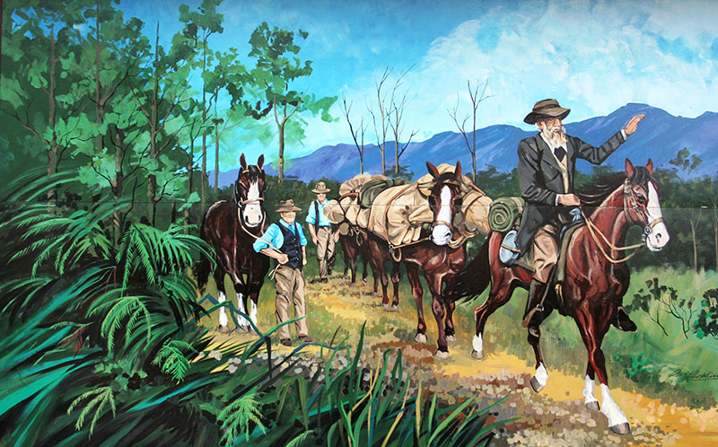 Bingara Murals - Cunningham