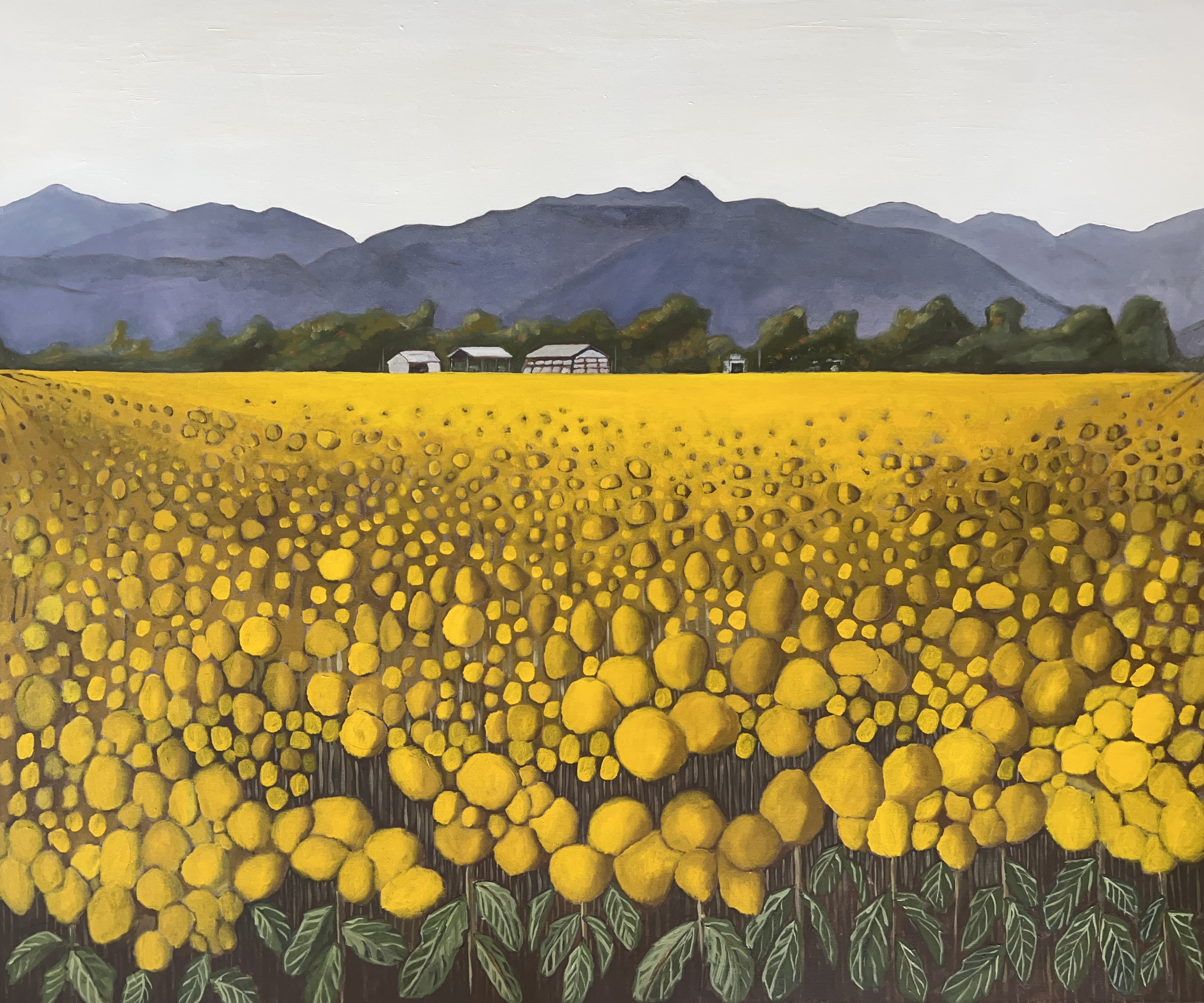 Deb Michell-Smith 2