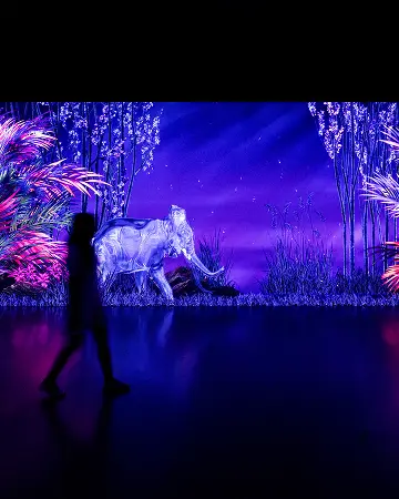 The night deepens when the darkness comes, and the sparkling living beings illuminate the jungle
