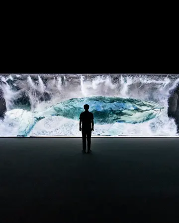 DANCING WHALE RESEMBLING THE SEA