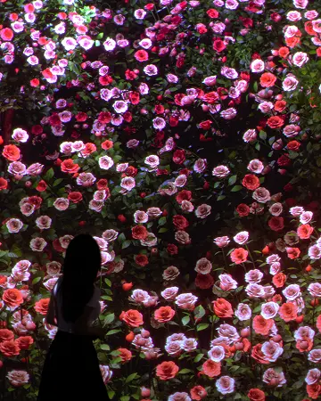 THE QUEEN OF FLOWER SYMBOLIZING LOVE AND BEAUTY