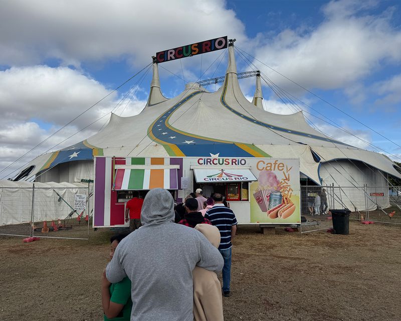 Circus Rio: A Thrilling Act for All Ages!
