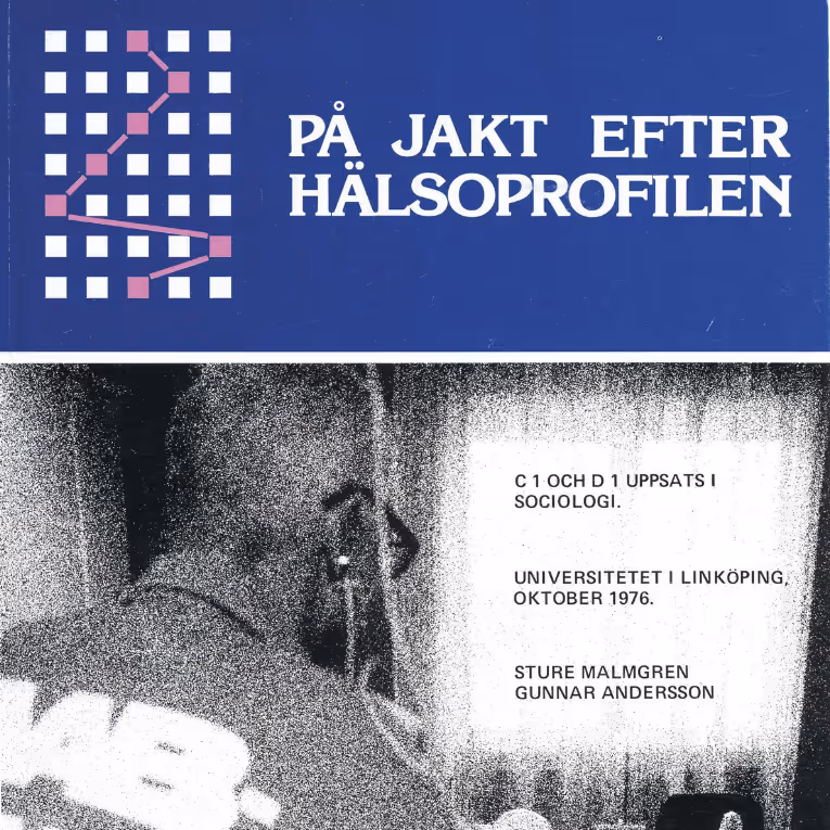Framsidan på publikationen På jakt efter Hälsoprofilen