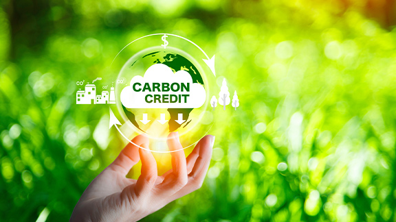 Carbon Credit คืออะไร? ทำไมถึงสำคัญต่อการลดโลกร้อน