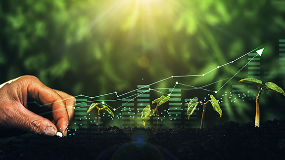 ตลาด Carbon Credit โอกาสใหม่ของนักลงทุนสีเขียว