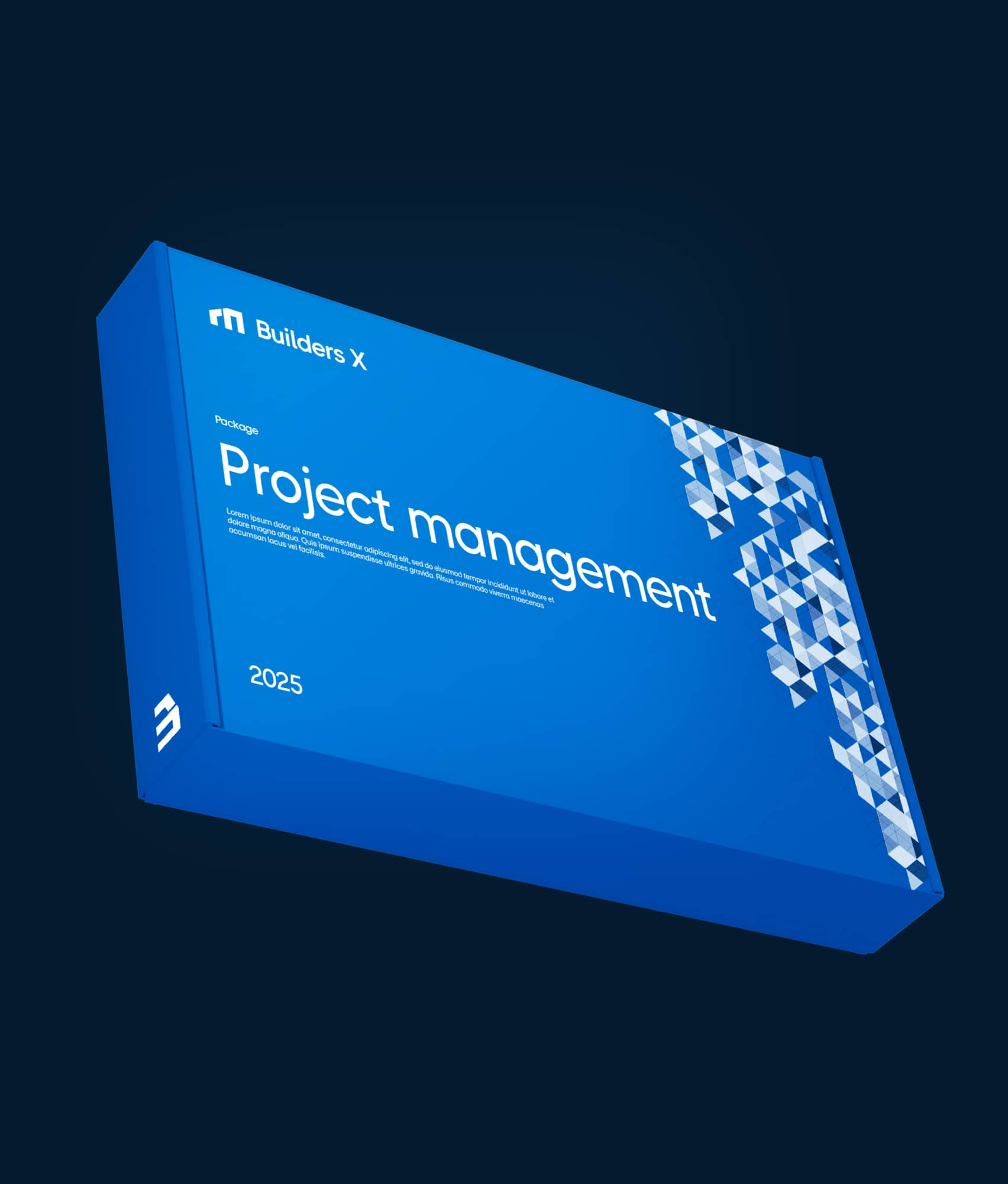 Project management