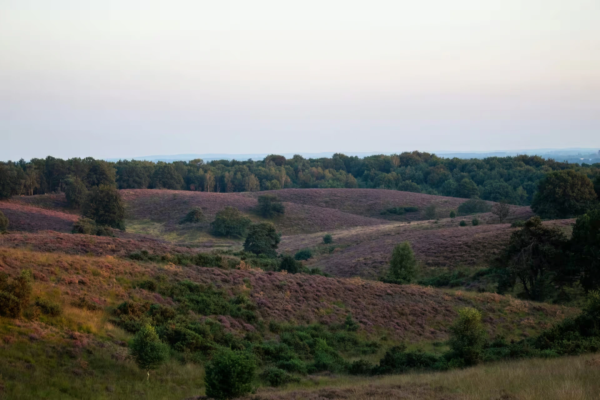 zaal huren veluwe