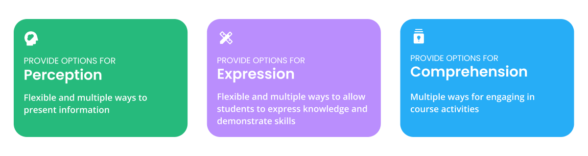Universal Design for Learning Principles