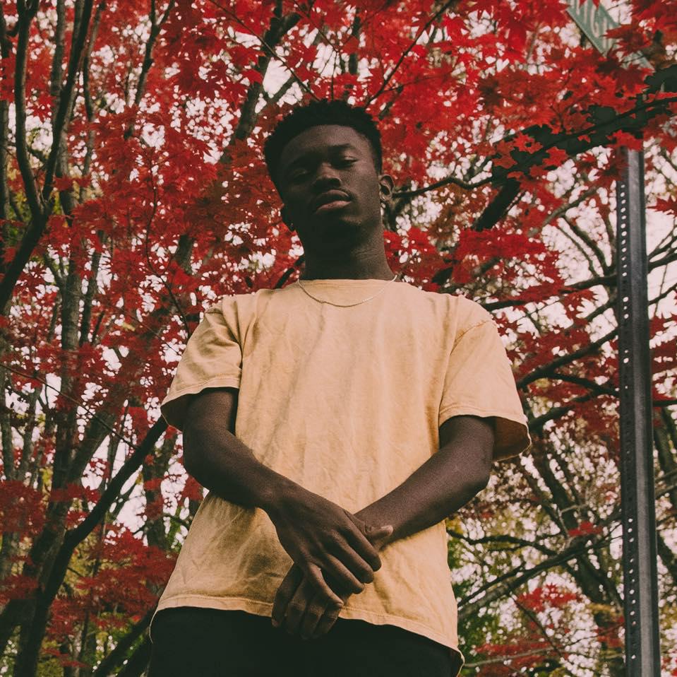 Young man in peach t-shirt standing under vibrant red and white flowering trees