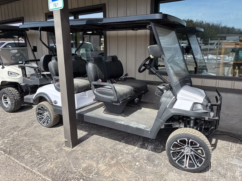 2024 V6L VIVID CART
