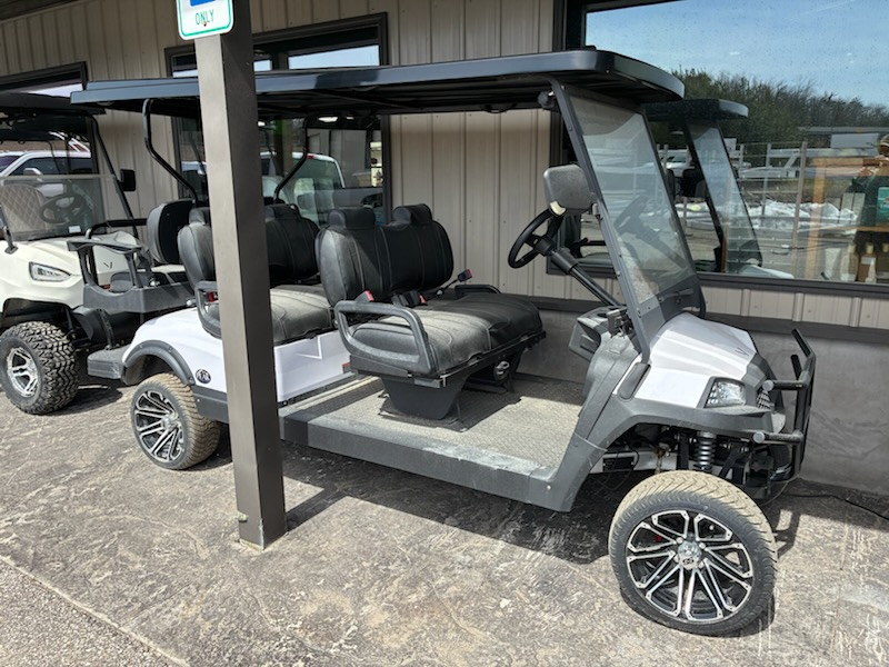 2024 V6L VIVID CART