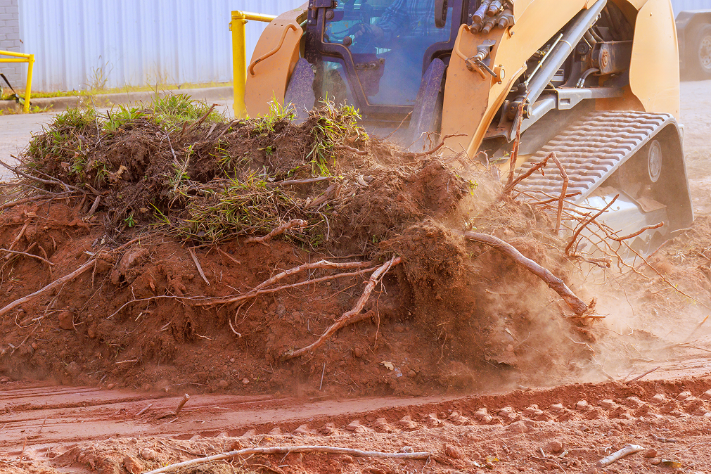 All-American-Land-Managment-Stump-Removal