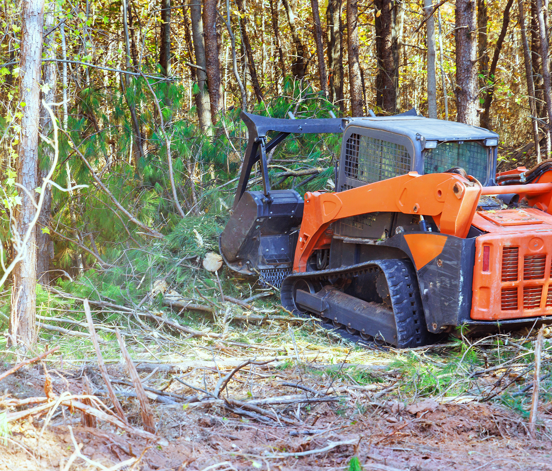 All-American-Land-Managment-Mowing