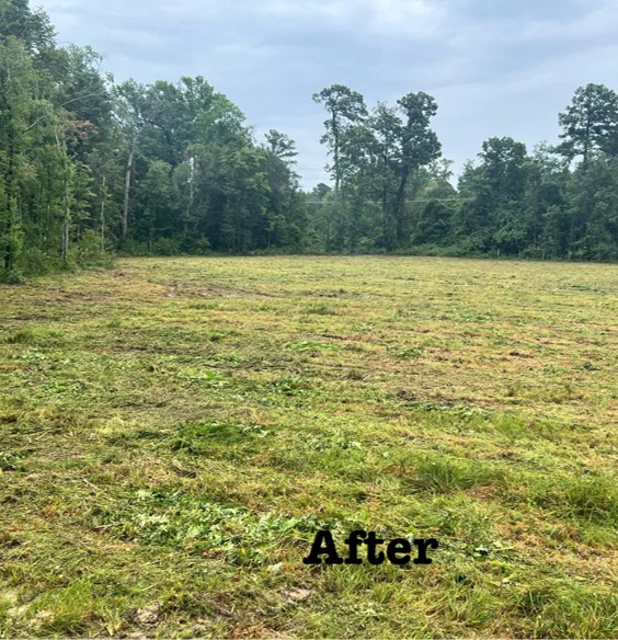 All-American-Land-Management-Services