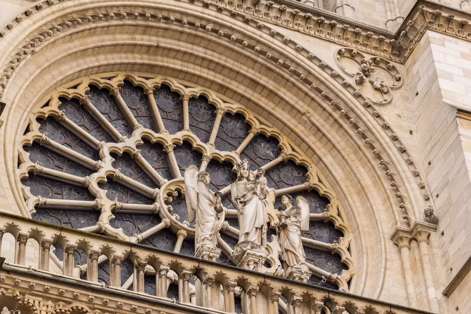Sorties scolaires Notre-Dame Paris : la rosace