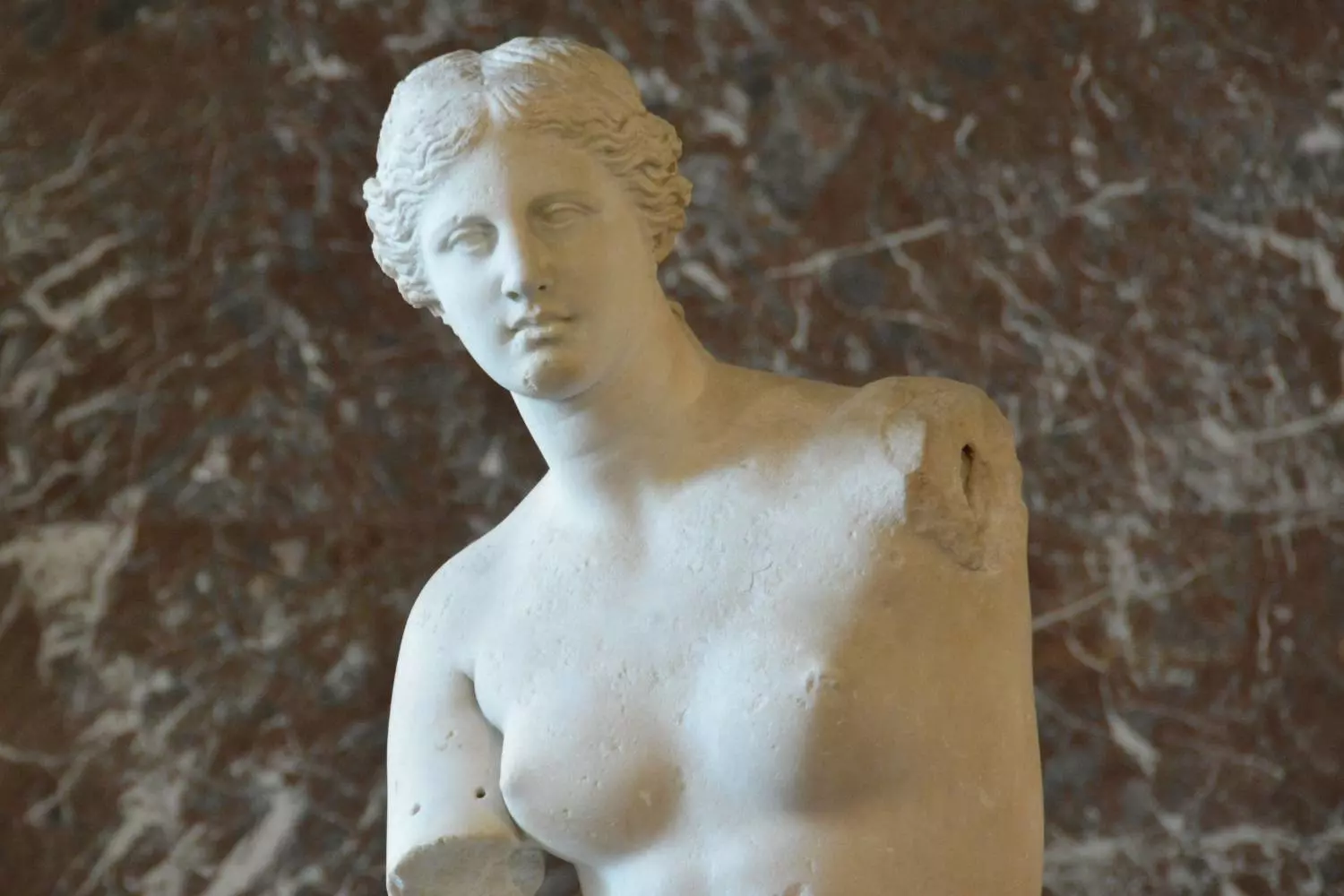 Sortie scolaire au Louvre : la Vénus de Milo