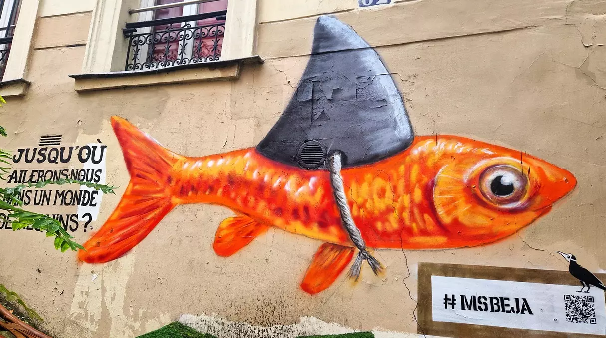 Visite Street Art à Paris avec Paris Antoinette