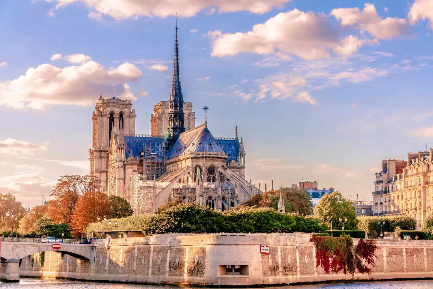 Visite autour de Notre-Dame avec Paris Antoinette