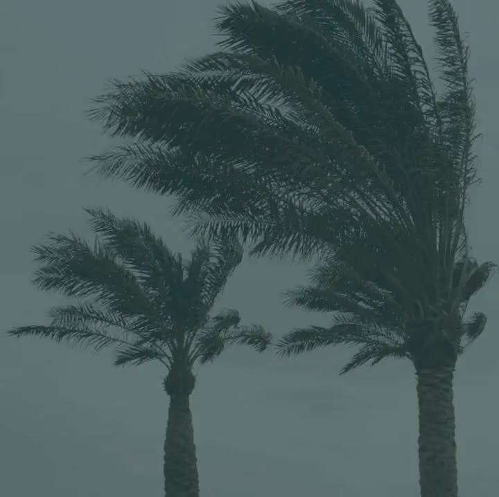 What We Can Learn About Planning for the Future…from Hurricane Forecasting?