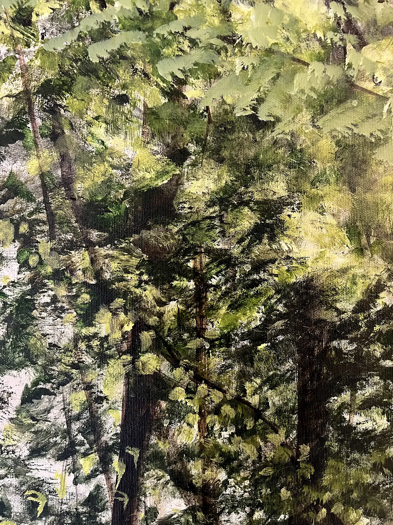 Les arbres, la mélodie du vent