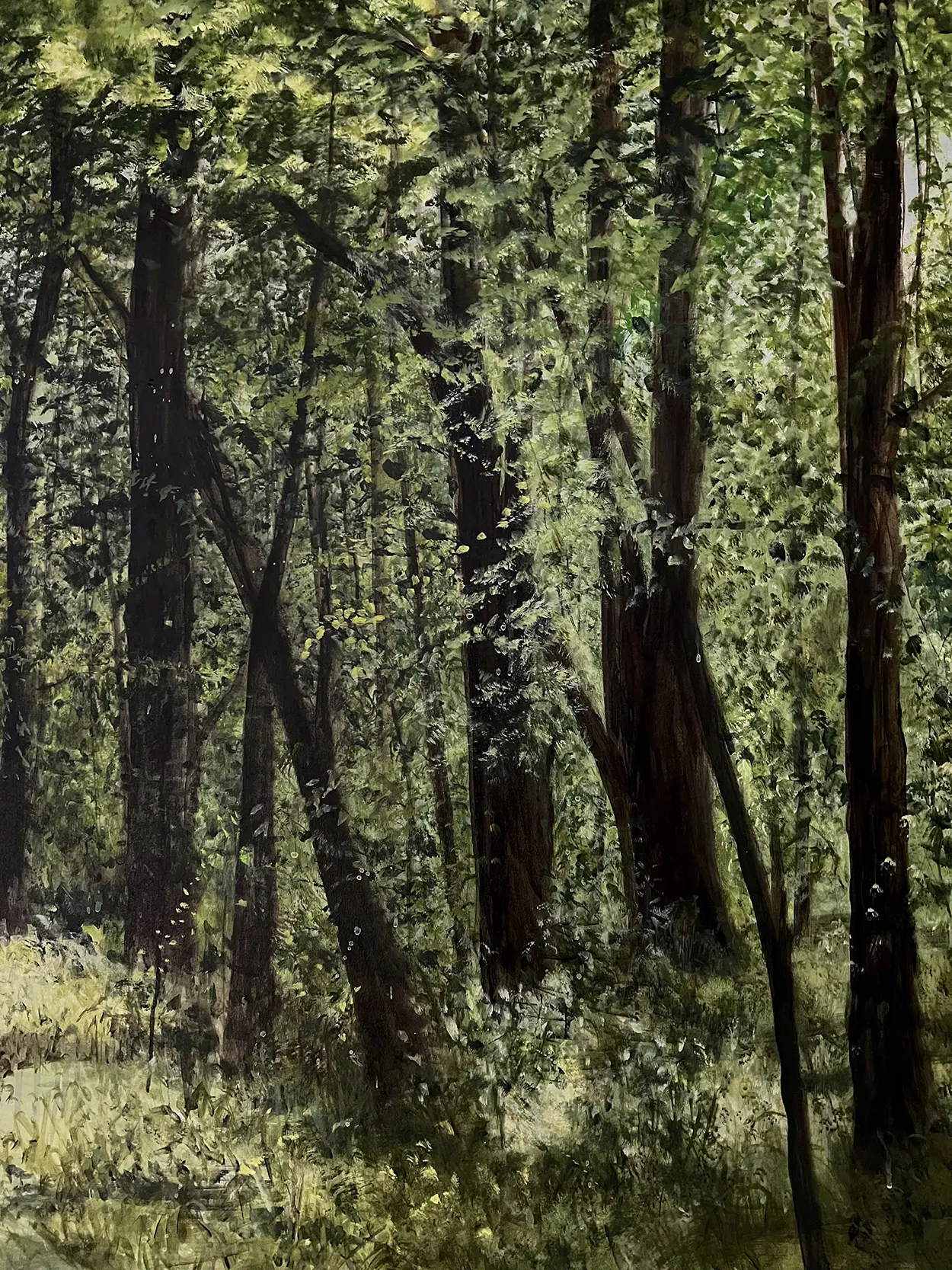 Les arbres, la mélodie du vent