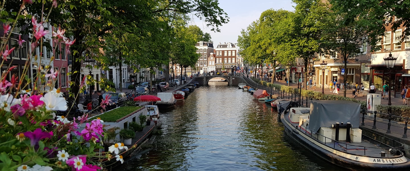 Netherlands city skyline
