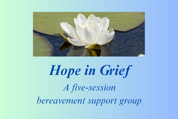 Lily with Hope in Grief title