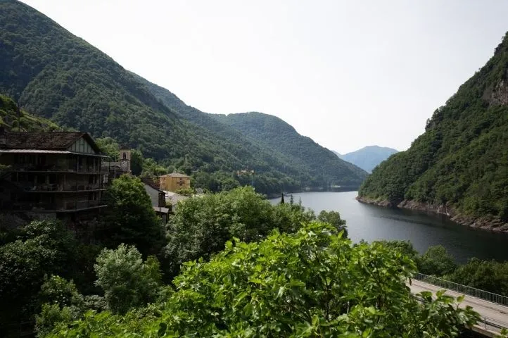 Photo de végétation entourant le lac en contrebas du barrage Pizzo Vogorno, soulignant la connexion entre nature et design développée par Momerable.