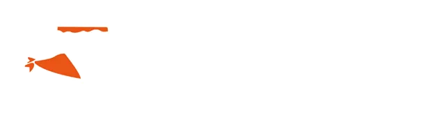 분홍색과 주황색 선과 점으로 추상적으로 표현된 하얀색 배경의 하트 모양.