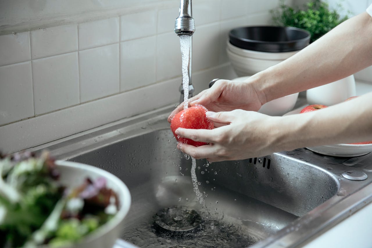 How to Resolve Persistent Garbage Disposal Odors in Your Springfield Home
