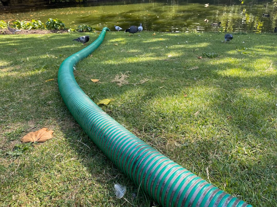 Sewer cleanout pipe in a yard - main line clog Sewer cleanout pipe in a yard - main line clog