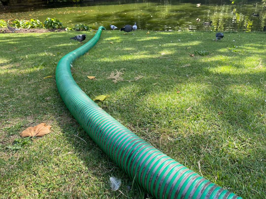 Sewer cleanout pipe in a yard - main line clog Sewer cleanout pipe in a yard - main line clog