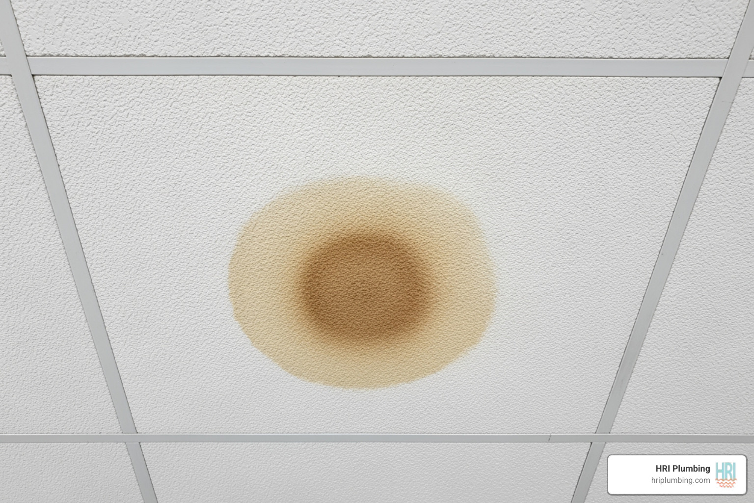 A water stain on a a commercial building's ceiling tile, indicating a hidden pipe leak - commercial pipe replacement springfield