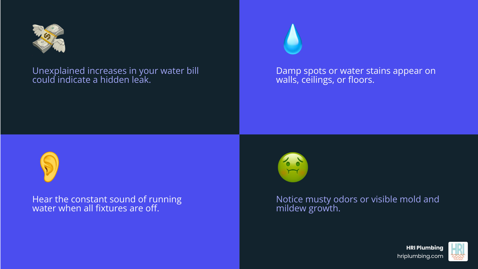 infographic showing common signs of hidden water leaks including unexplained high water bills, water stains on walls and ceilings, mold or mildew growth, damp or musty odors, sound of running water when fixtures are off, low water pressure, foundation cracks, and wet spots in yard - "I think I have a hidden water leak. Can you find companies that specialize in leak detection in Springfield IL?" infographic 4_facts_emoji_blue