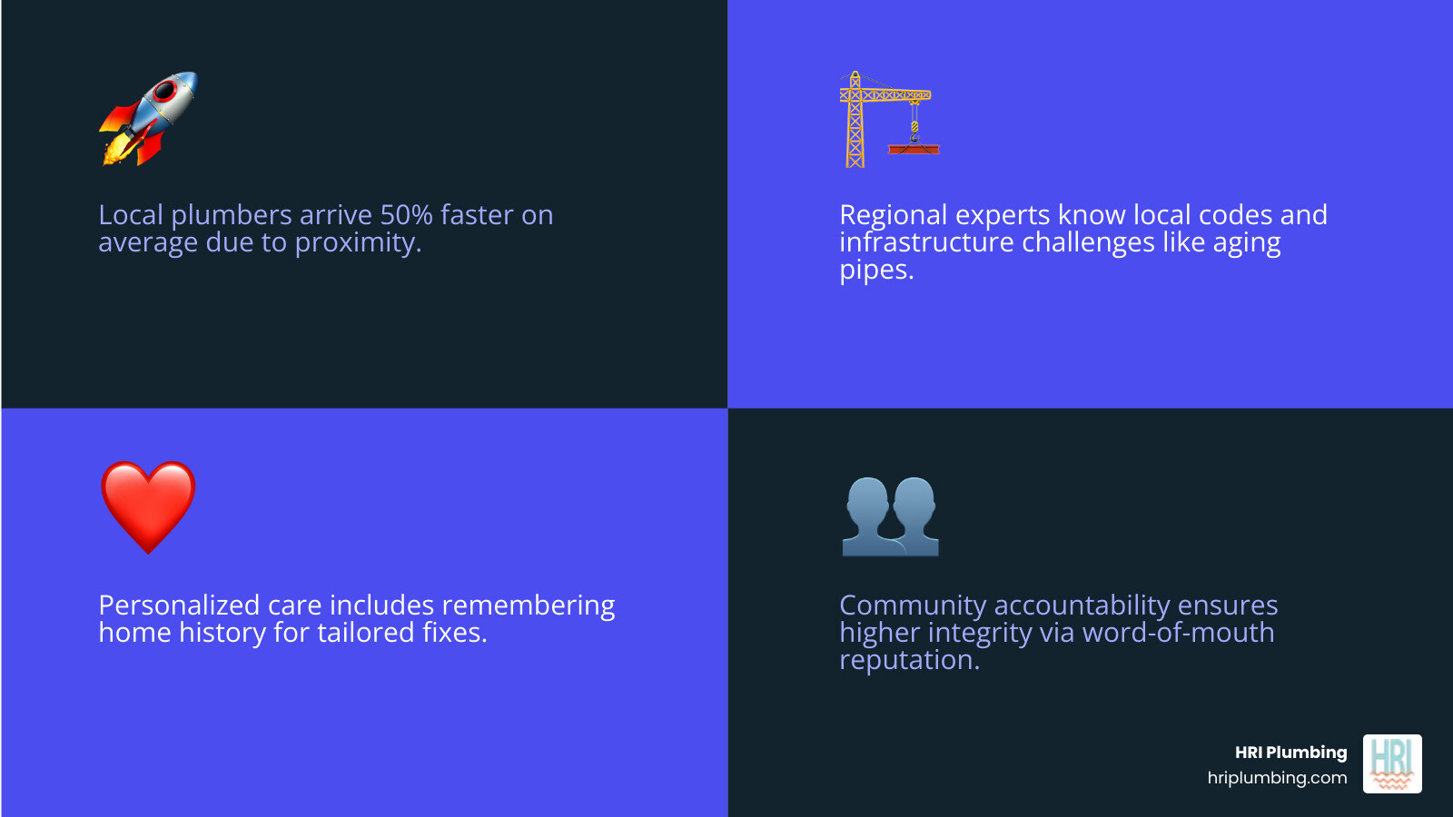 Advantages of local plumbing companies over national chains infographic - how local plumbing companies provide better