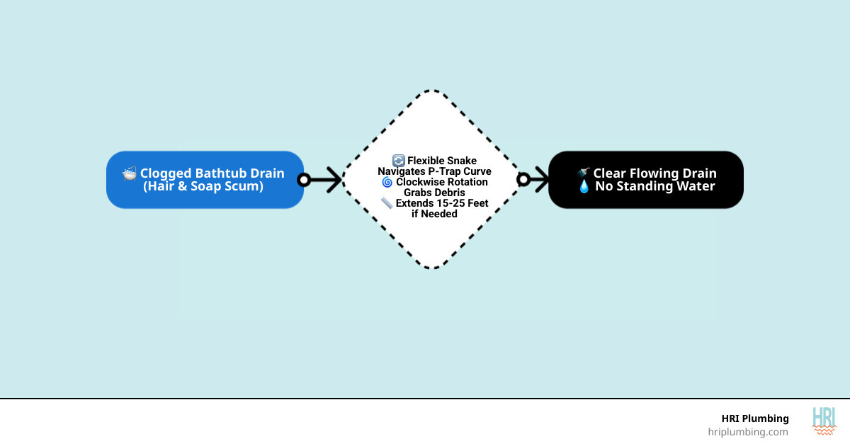 How a bathtub drain snake navigates a P-trap to remove hair clogs and soap scum - bathtub drain snake infographic How a bathtub drain snake navigates a P-trap to remove hair clogs and soap scum - bathtub drain snake infographic