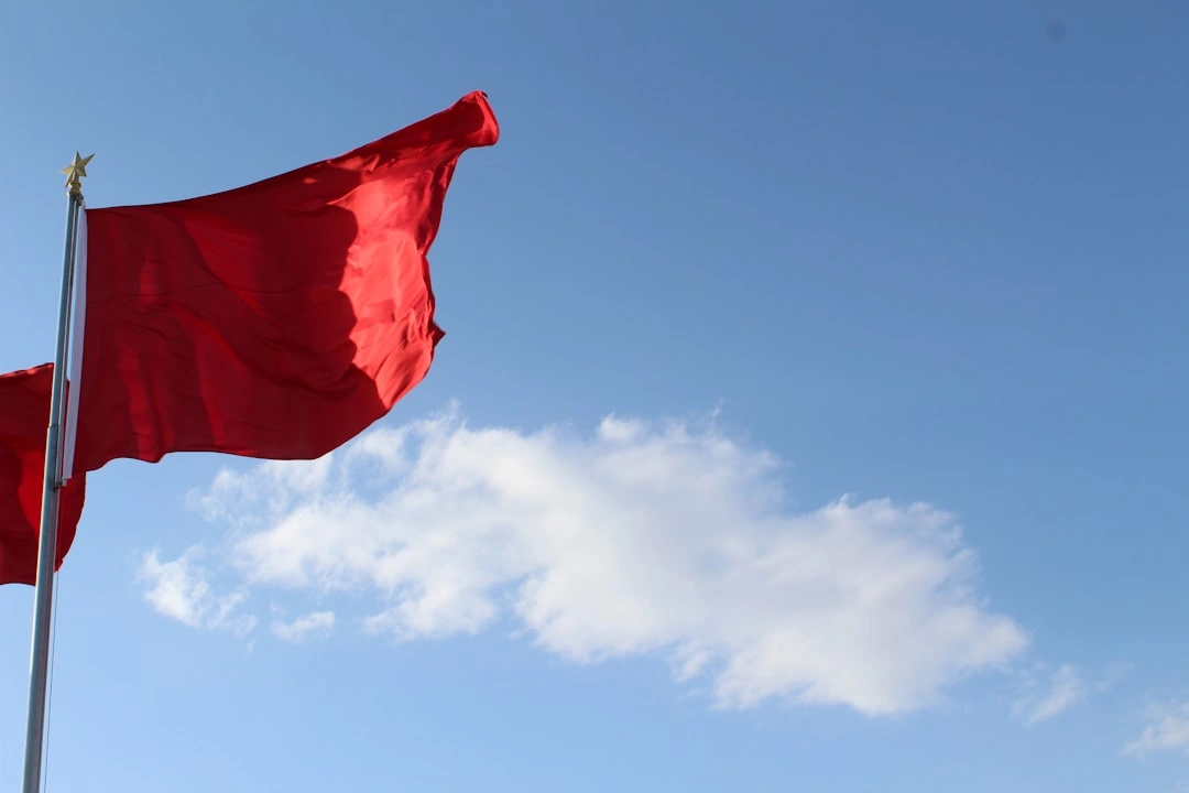 Stop! Watch Out for These Plumbing Hire Red Flags