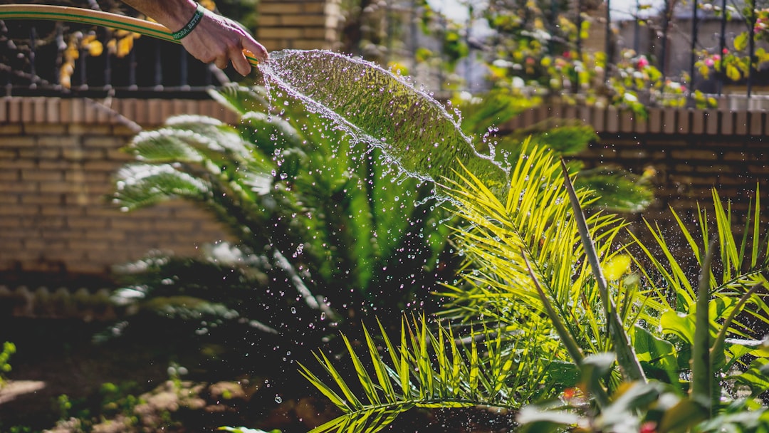 Stop the Strain on Your Septic System This Summer