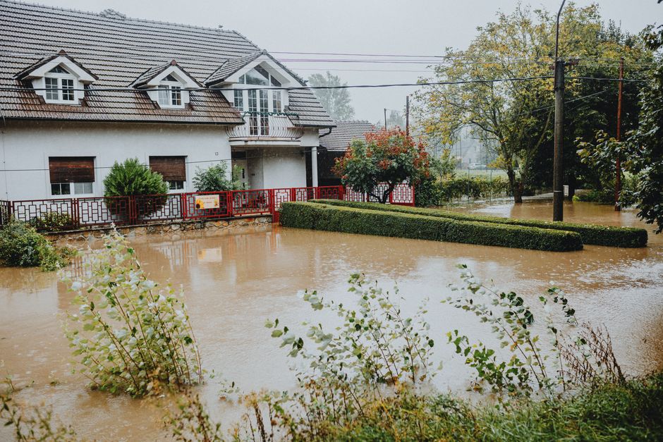 Septic System Flooding Risks and What to Do When It Pours