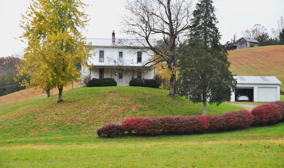 Down the Drain: What Happens Inside Your Septic Tank